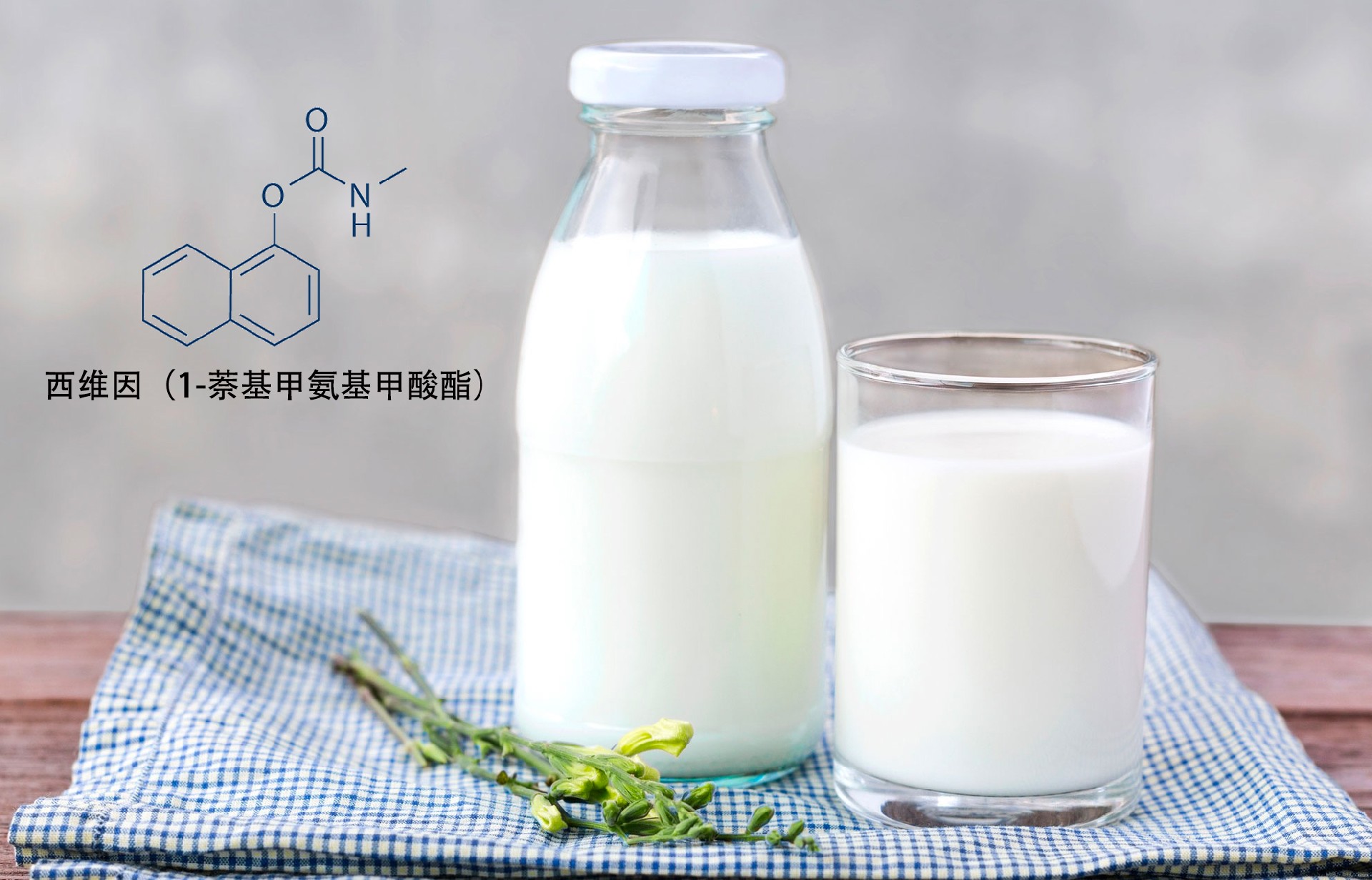 1649666685128373.jpg Carbaryl西維因內(nèi)容圖-中.jpg